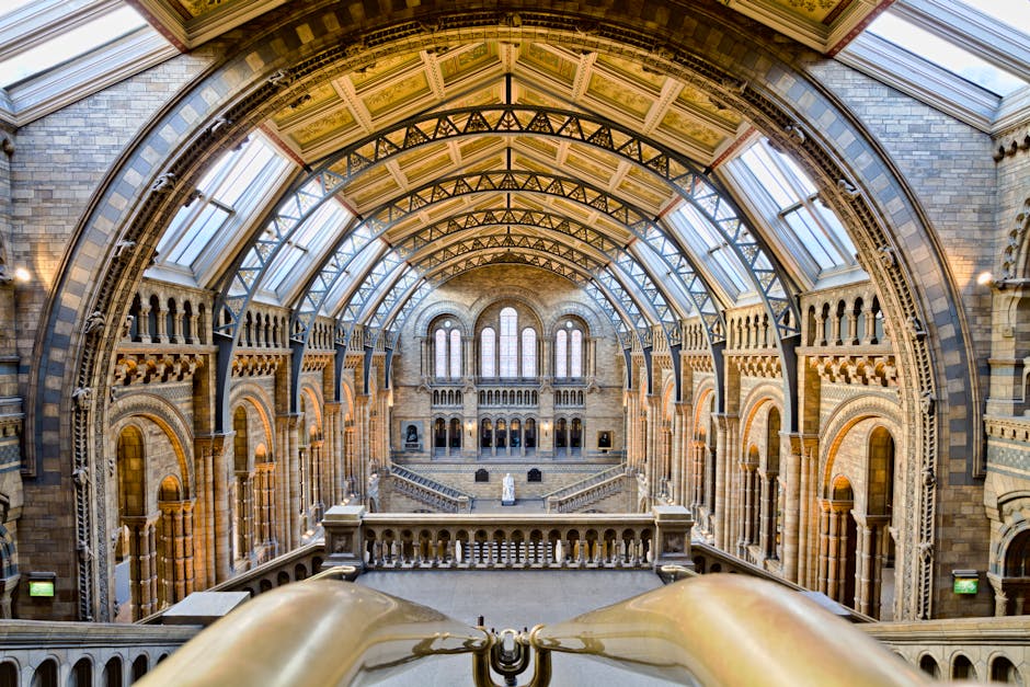 Inside the grand interior of the Royal Albert Hall in South Kensington, showcasing its large vaulted ceiling with intricate architectural details, arched windows allowing natural light to fill the space, and ornate stone and woodwork along the walls. The image captures the view from an upper balcony, looking down towards the central area with an area for stage setup or exhibition installation. The spacious hall features a series of columns, decorative balustrades, and a curved staircase at the front, indicating its historic and architecturally significant design. This setting is relevant to house relocations and moving services, as it represents a location where careful transportation and packing of delicate furniture or equipment might be necessary for a comprehensive home relocation or event setup, with [COMPANY_NAME] handling the logistics of furniture transport within such prestigious venues.